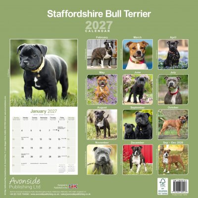 Staffordshire bullterrier väggkalender 2027