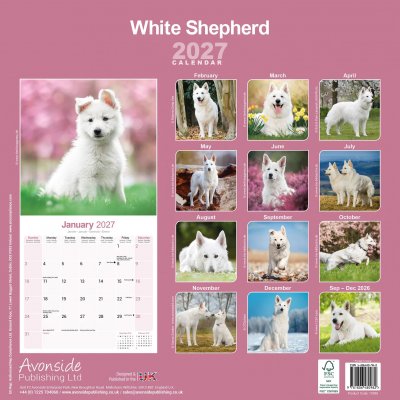 Vit herdehund väggkalender 2027