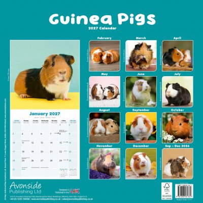 Marsvin väggkalender 2027