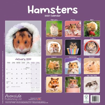 Hamster väggkalender 2027
