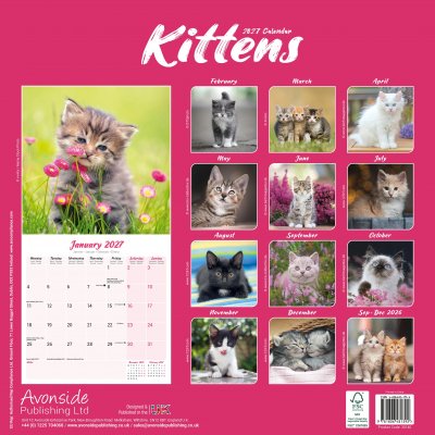 Kattungar väggkalender 2027