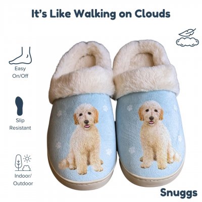Goldendoodle tofflor ES