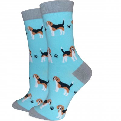 Beagle strumpor