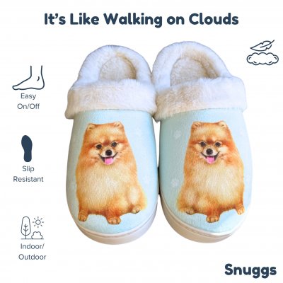 Pomeranian tofflor ES