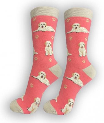 Goldendoodle strumpor 1-pack ES 2
