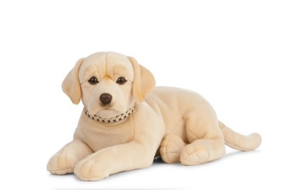 Labrador retriever (gul) mjukisdjur Giant LN u