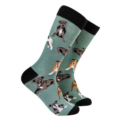 Staffordshire bullterrier strumpor 1-pack 1 Soctopus