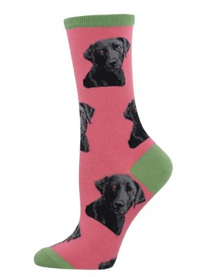 Labrador retriever (svart) strumpor 1-pack SockSmith 1
