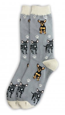 Chihuahua (korthårig) strumpor 1-pack ES 2