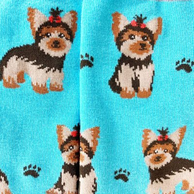 Yorkshireterrier strumpor 1-pack dam Imagery