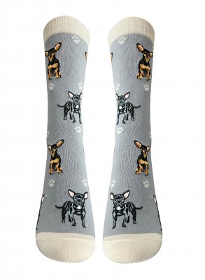 Chihuahua (korthårig) strumpor 1-pack ES 2