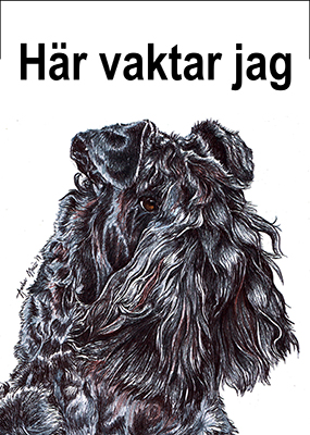 Kerry blue terrier aluminiumskylt 1 Amber Marie olika storlekar