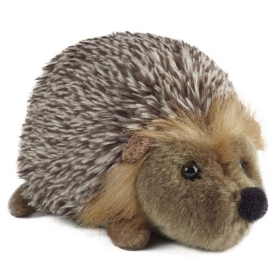 Igelkott mjukisdjur Hedgehog medium Living Nature