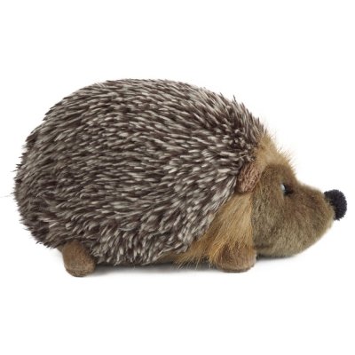 Igelkott mjukisdjur Hedgehog medium Living Nature