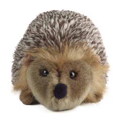 Igelkott mjukisdjur Hedgehog medium Living Nature