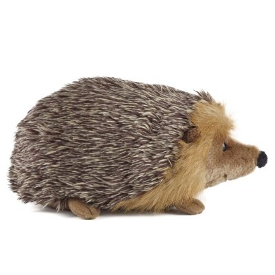 Igelkott mjukisdjur Hedgehog large Living Nature