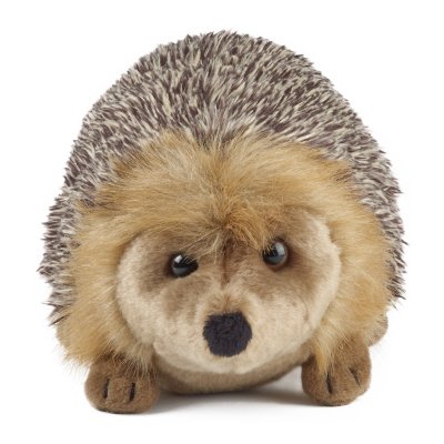 Igelkott mjukisdjur Hedgehog large Living Nature