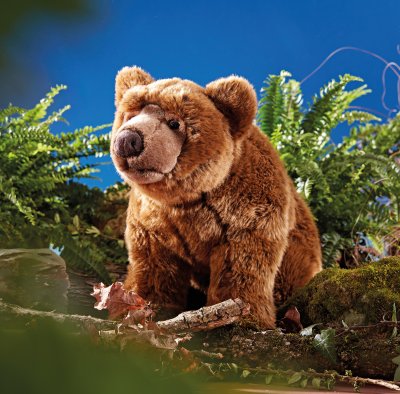 björn mjukisdjur Brown Bear Large Living Nature