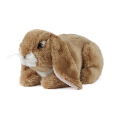 Kanin mjukisdjur Brown Lop Eared Rabbit Living Nature