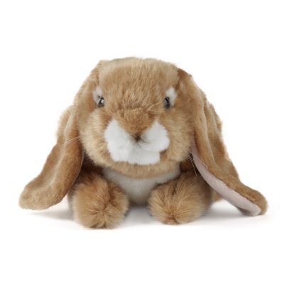 Kanin mjukisdjur Brown Lop Eared Rabbit Living Nature
