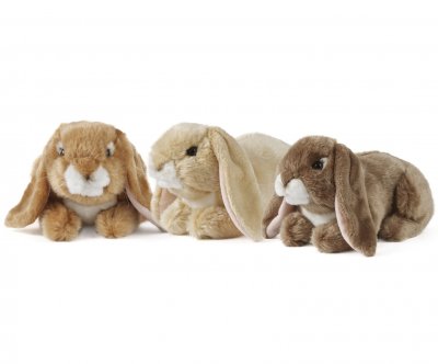 Kanin mjukisdjur Dark Brown Lop Eared Rabbit Living Nature
