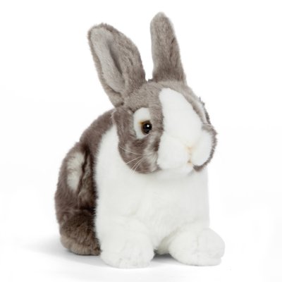 Kanin mjukisdjur Grey Pet Rabbit Living Nature