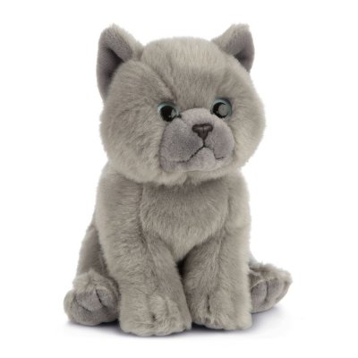 Katt mjukisdjur British Grey kattunge Living Nature x