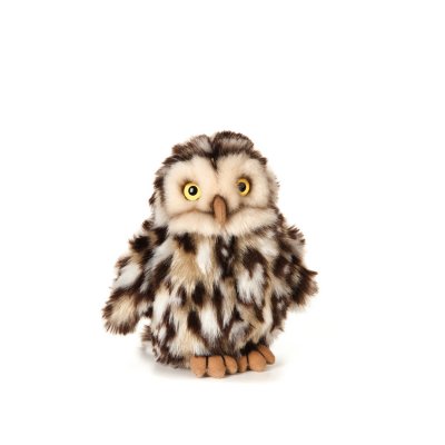 Uggla mjukisdjur Little Owl Living Nature