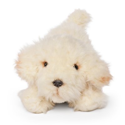 Labradoodle gosedjur