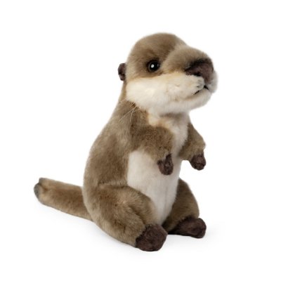 Utter mjukisdjur Otter cub Living Nature