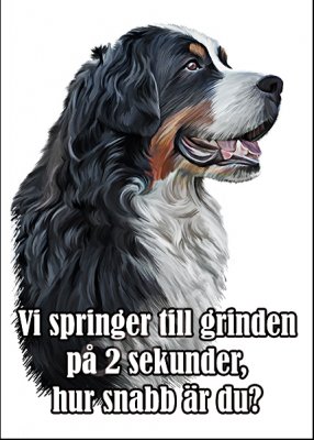 Berner sennenhund skylt