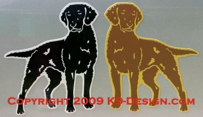 Curly coated retriever bilmagnet