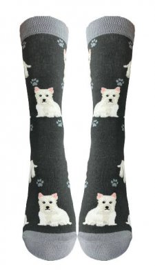 West highland white terrier strumpor 1-pack ES