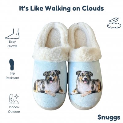 Australian shepherd tofflor ES