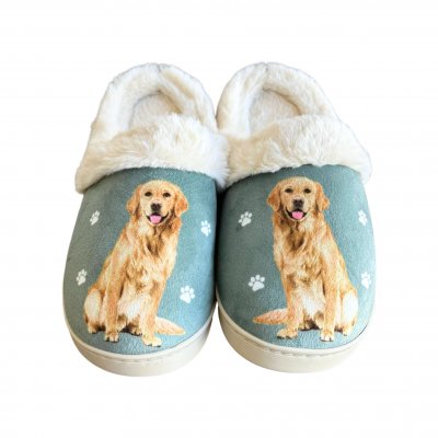 Golden retriever tofflor ES