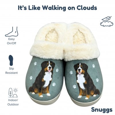 Berner sennenhund tofflor ES