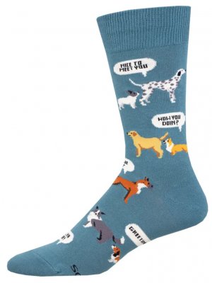 Hund strumpor 1-pack strl 40-46 olika färger SockSmith 1
