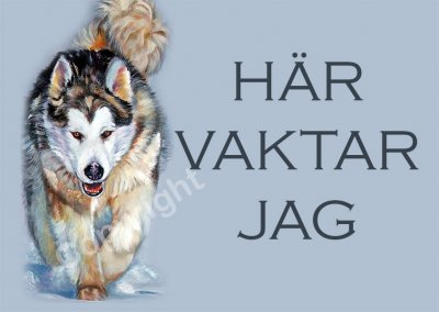 Alaskan malamute skylt
