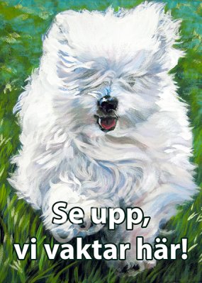 Coton de tuléar skylt