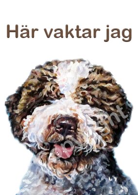 Lagotto romagnolo skylt