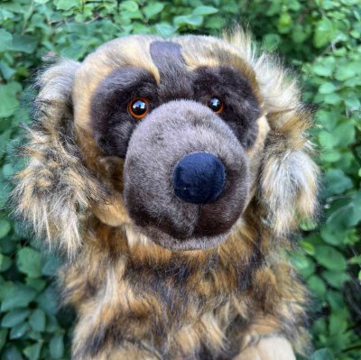 Leonberger mjukisdjur 56 cm Nikki Prime Shiba