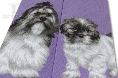 Shih tzu strumpor Masterpiece JHJ