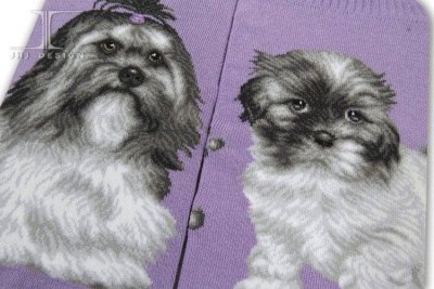 Shih tzu ankelstrumpor Masterpiece JHJ
