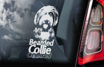Bearded collie bildekal