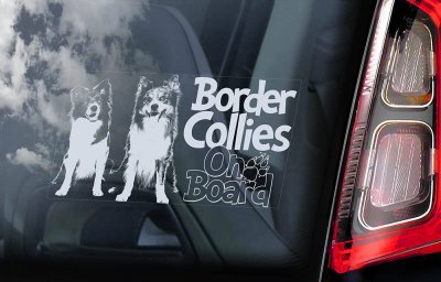 Border collie bildekal