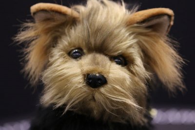FÖRBESTÄLL! Australisk terrier mjukisdjur Archie Bocchetta