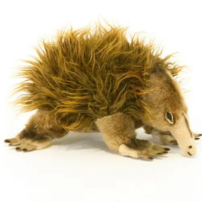 Myrpiggsvin mjukisdjur Harry Echidna Bocchetta