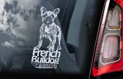 Fransk bulldogg bildekal