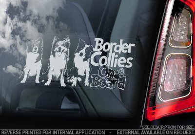 Border collie bildekal