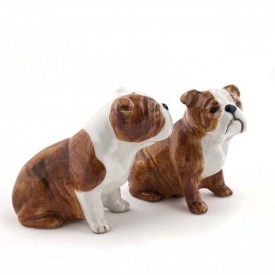 Engelsk bulldogg salt & pepparkar x